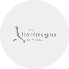 The Lean Six Sigma Company